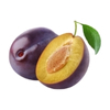 Plum