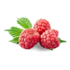 Raspberry